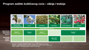 Program zaštite koštićavog voća višnja trešnja