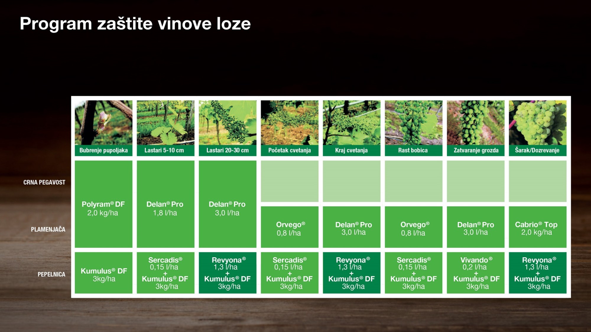 Program-zastite-vinove-loze