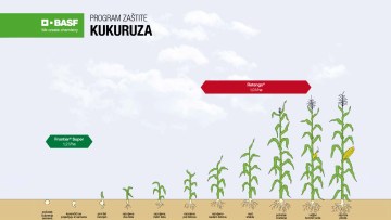 Program zaštite kukuruza