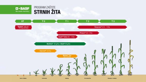 Program zaštite strnih žita